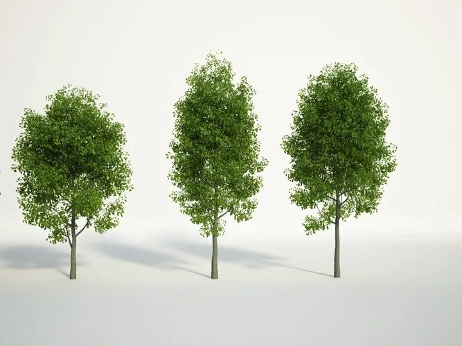 Деревья 3д модели дуба. Дерево качество одежды. Дерево с цифрами. Tree 3 number. Модель дерева для печати.