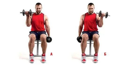 Подъем гантелей с супинацией. Подъем гантелей на бицепс сидя с супинацией. Incline hammer curls. Подъем гантели на бицепс сидя. Подъем гантели на бицепс сидя.