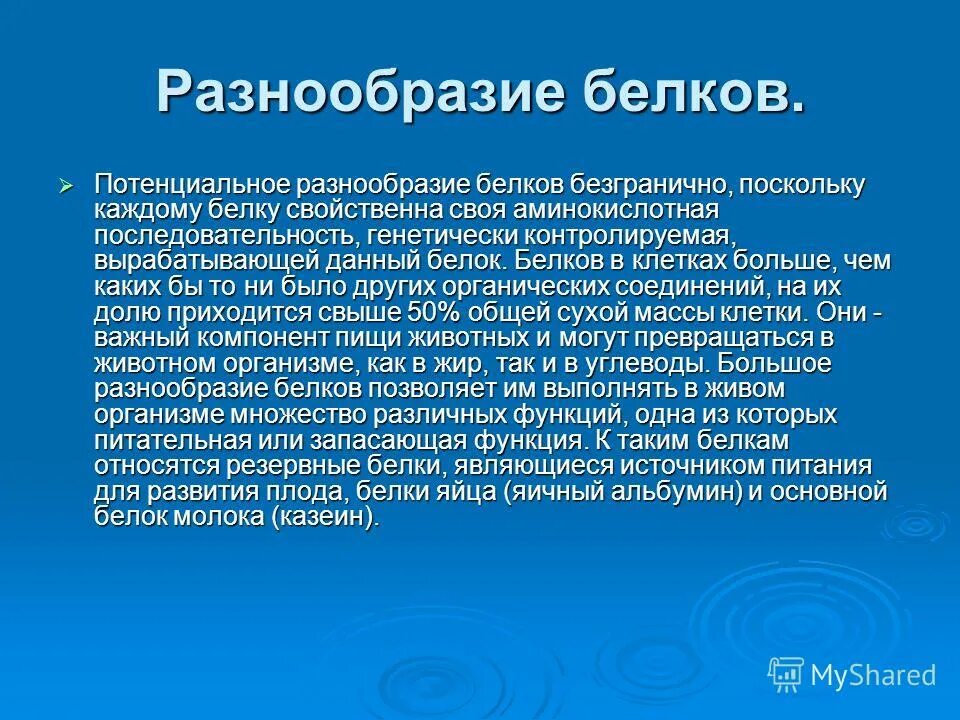 Белки многообразие