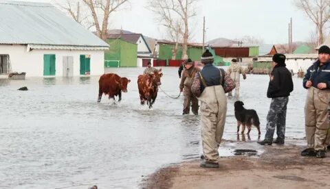 Погода в ско