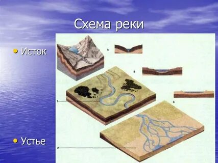 Устье реки схема