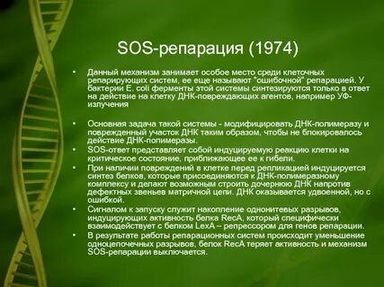 Sos репарация