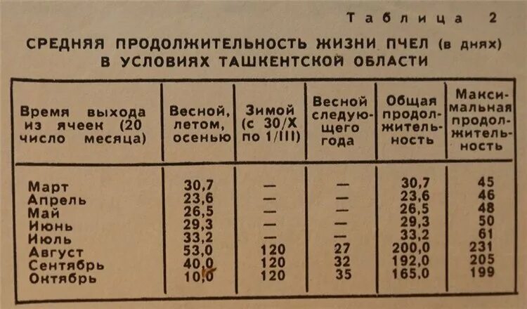 Продолжителлность жизни пчёл. Продолжительность жизни пчелы. Средняя Продолжительность жизни пчелы. Продолжительность жизни пчел по месяцам. Как связаны плодовитость продолжительность жизни и размеры