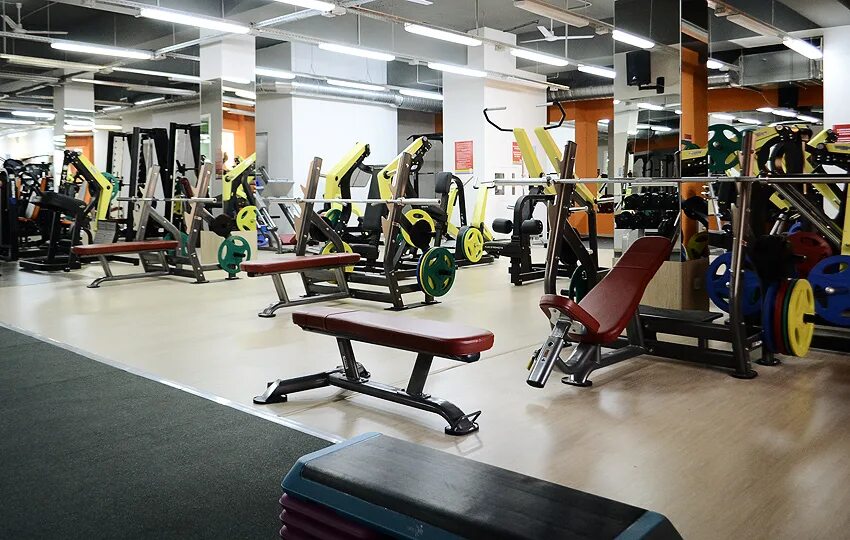 Алекс фитнес ярославль. Спортзал алекс фитнес ростов на дону рио. Алекс фитнес ростов левенцовка. Алекс фитнес ростов левенцовка. Alex fitness левенцовка.