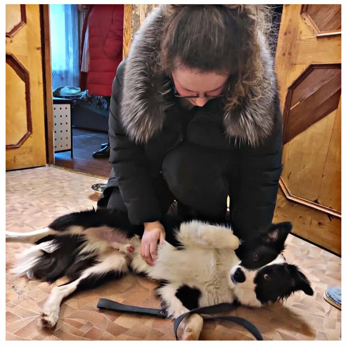 @ебанутовеселая зоомама. Зоомама дзен. Зоомамы. Зоомама дзен курск. Зоомама в курске приют для животных.