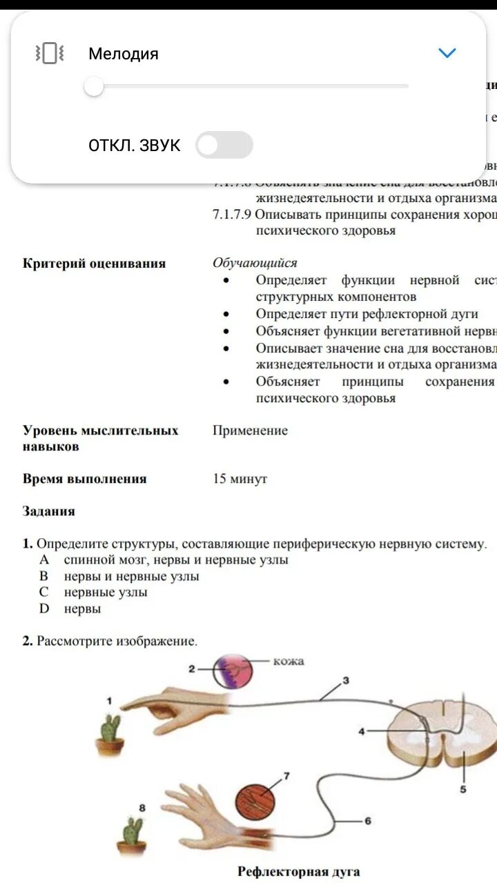 Сор по биологии 7 класс 3 четверть. Сор по биологии 8 класс 3 четверть. Сор по биологии 8 класс кости 3 четверть. Сор биология 7 класс 1 четверть. Сор по биологии 9 класс