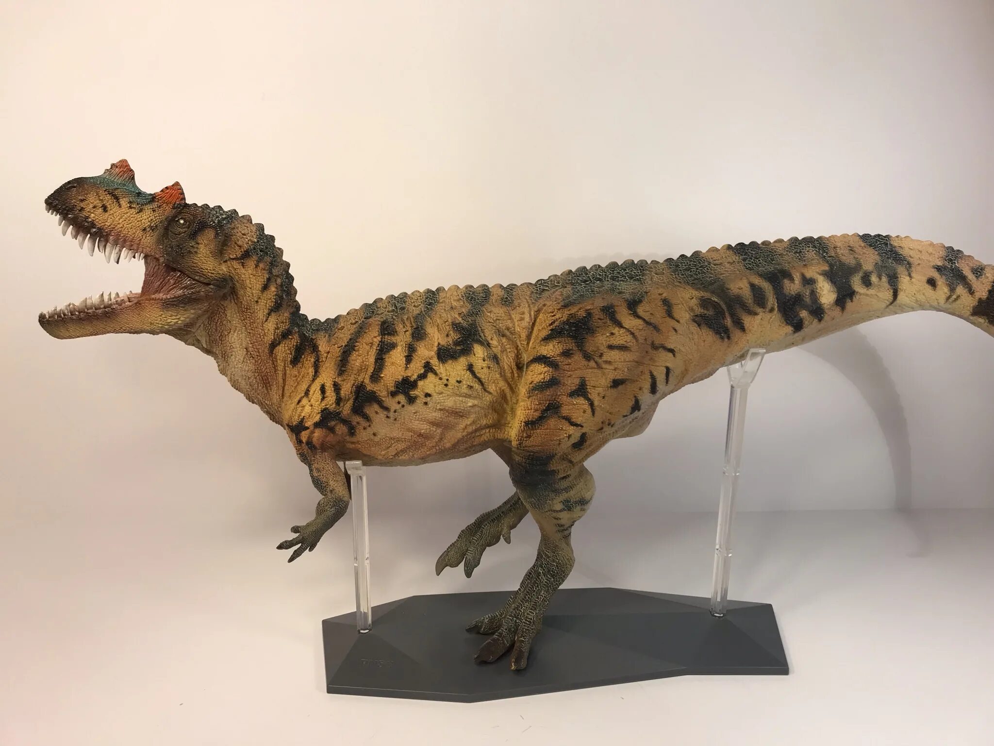 Dinosaur models