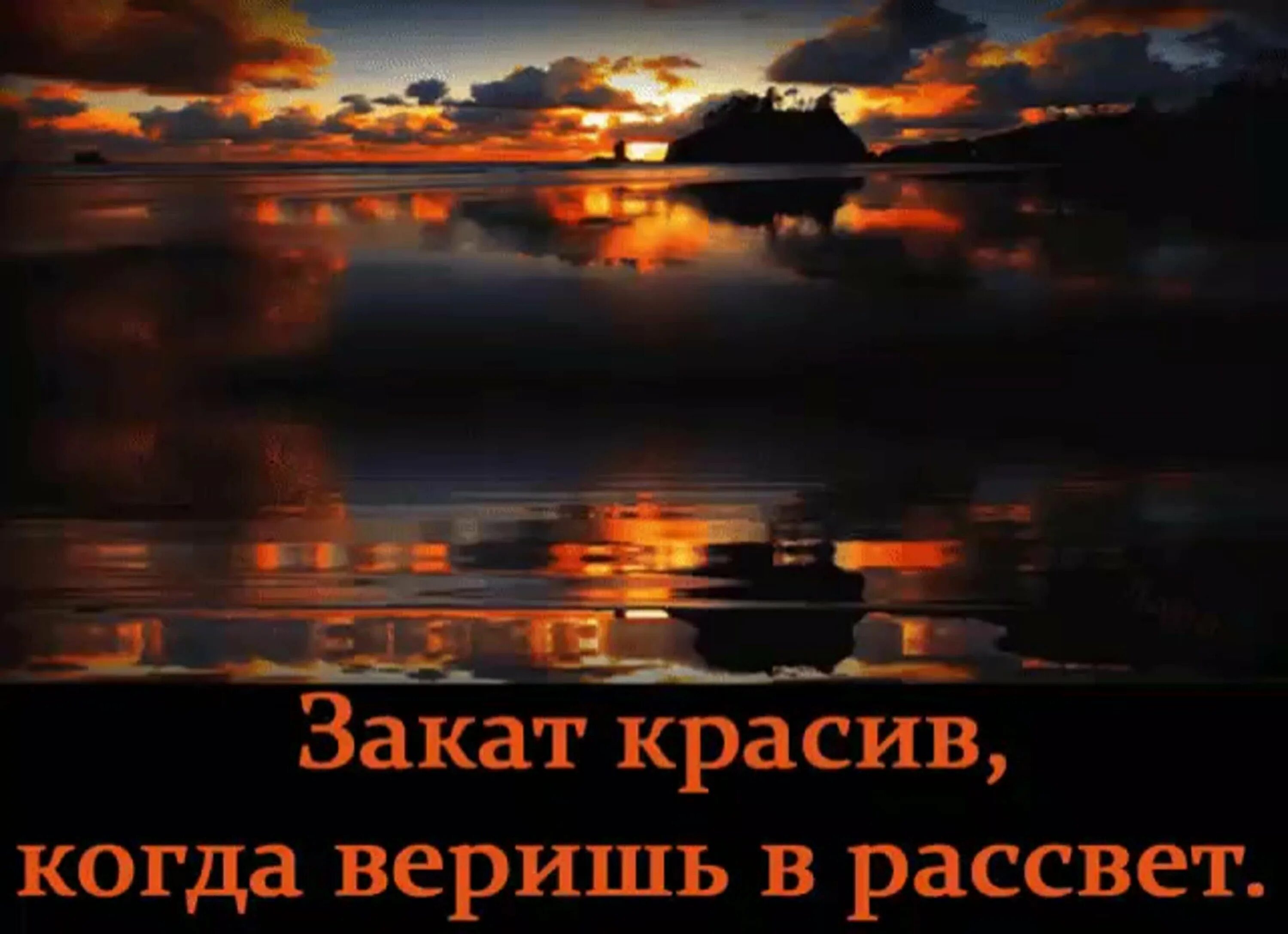 Ночью начинается жизнь