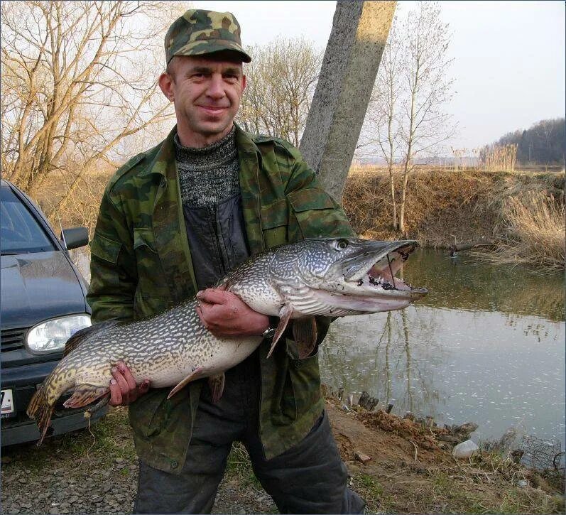 Рыбхоз Сенеж. Рыбхоз Сенеж рыбалка. Озеро Сенеж рыбалка. Озеро Сенеж Солнечногорск рыбалка. Отчеты о рыбалке в подмосковье 2023