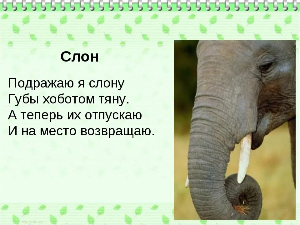 Стихотворение слон учить. Загадка про слона. Загадка про слона для детей. Загадка про слоника. Загадки про животных слон.