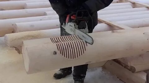 Бревно видео
