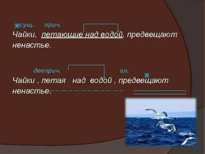 Разбери слово морской. Предложение со словом Чайки. Предложение со словом Чайка. Предложения о Чайках. Предложение со словом Чайки над морем.