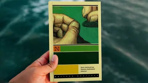 Узнай книгу по описанию