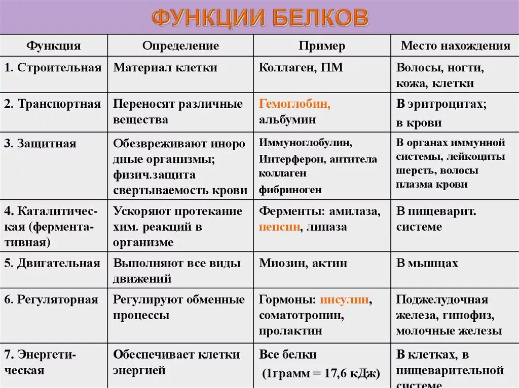 Меню биология 9 класс. Функции белков и их характеристика. Биологические функции белков таблица. Функции белков и их описание. Функции белков и характеристика таблица.