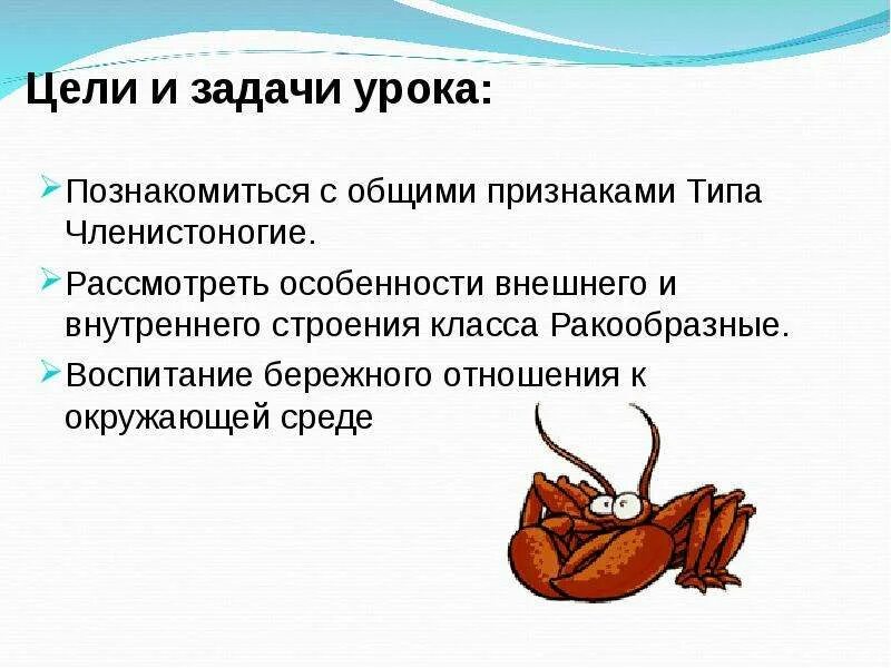 Тип членистоногие черви 3 примера. Членистоногие общая характеристика. членистоногие презентация 7 класс. презентация про членистоногих. общая характеристика членистоногих.
