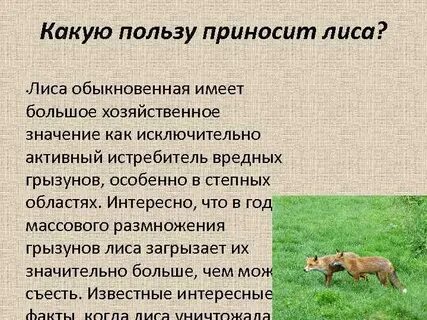 Что полезного приносит это