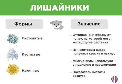 Результат симбиоза