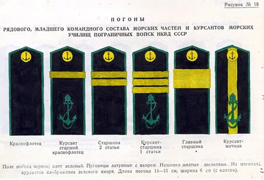 Погоны морских курсантов. Погоны морских курсантов. Погоны морских курсантов. Погоны морских курсантов. Морские погоны курсанта.