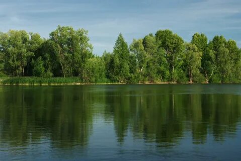 Поволжье природа