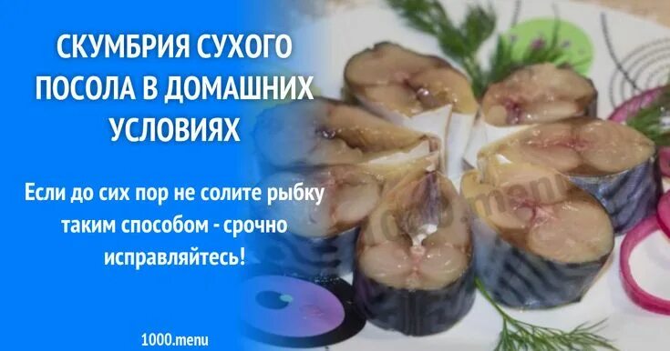 Через сколько можно есть засоленную рыбу. Скумбрия маринованная с семенами горчицы. сколько соли надо для засолки скумбрии на 1 кг. минимальное время сухого посола. рецепт из скумбрии со словами&quot;если надоела колбаса&quot;.