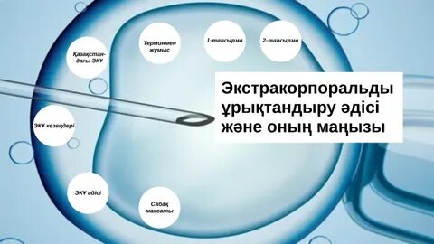 Жапон әйелінің порносы