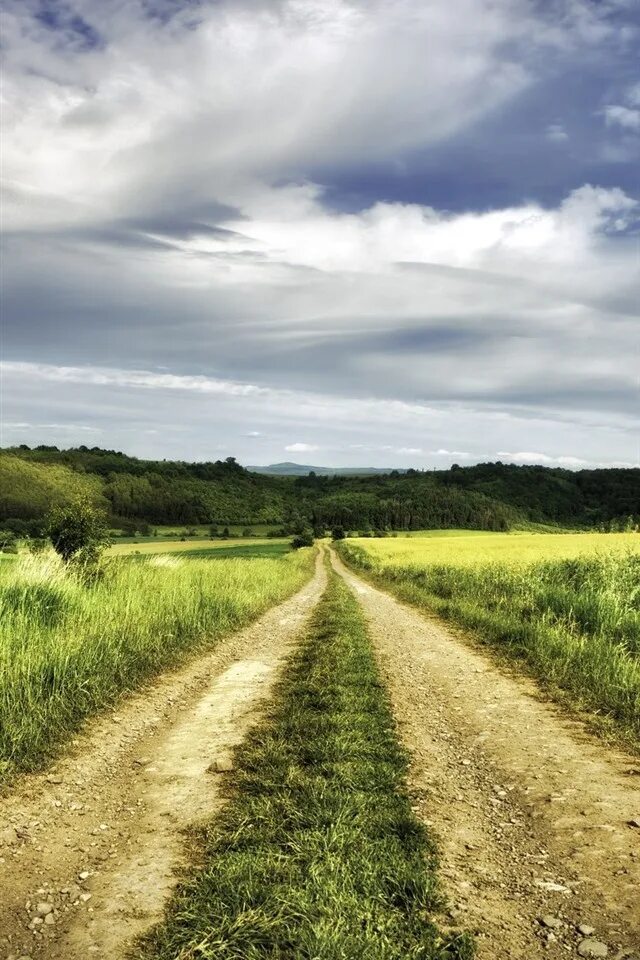 Человек на дороге. На пути в поле. Человек уходит вдаль. Две расходящиеся дороги в поле. Человек идет по дороге.