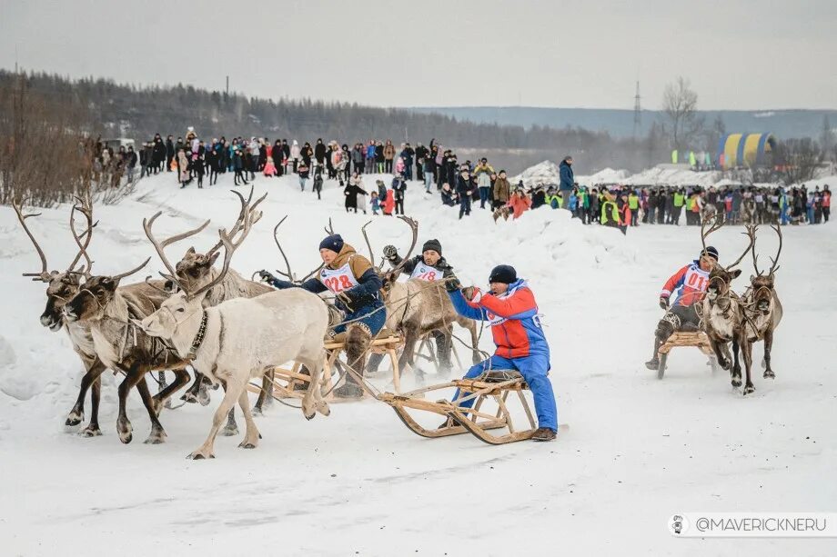 Тазовские оленеводы. Эвенки Иенгра. День оленевода 2022 в Якутии. Село Иенгра Якутия. День оленевода Тарко Сале.