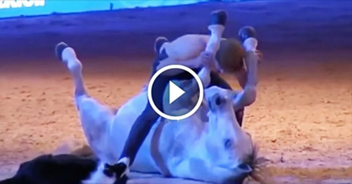 защитная реакция лошади