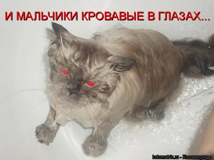 Аниме токийский гуль кровь. И мальчики кровавые в глазах. Икона царевича димитрия угличского. И мальчики кровавые в глазах пушкин. Аниме мальчики токийский гуль.