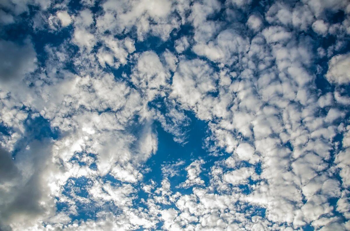 Небо. Синее небо с облаками. Красивые облака. Небо вид снизу. Небо.