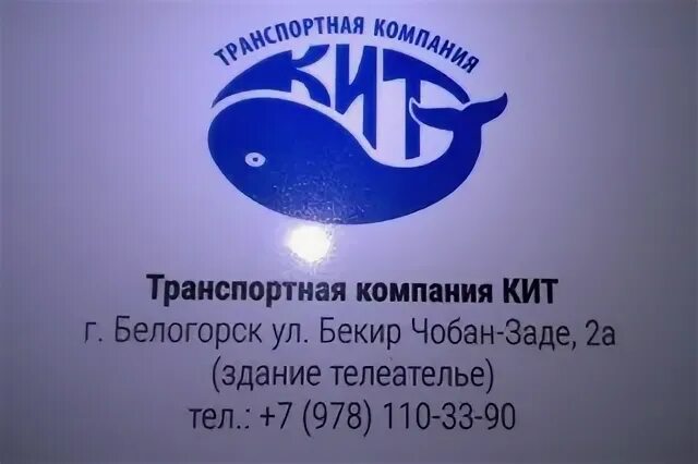 Кит тверь транспортная. Кит транспортная компания. ТК кит Анапа. ТК кит Мурманск. Kit транспортная компания.