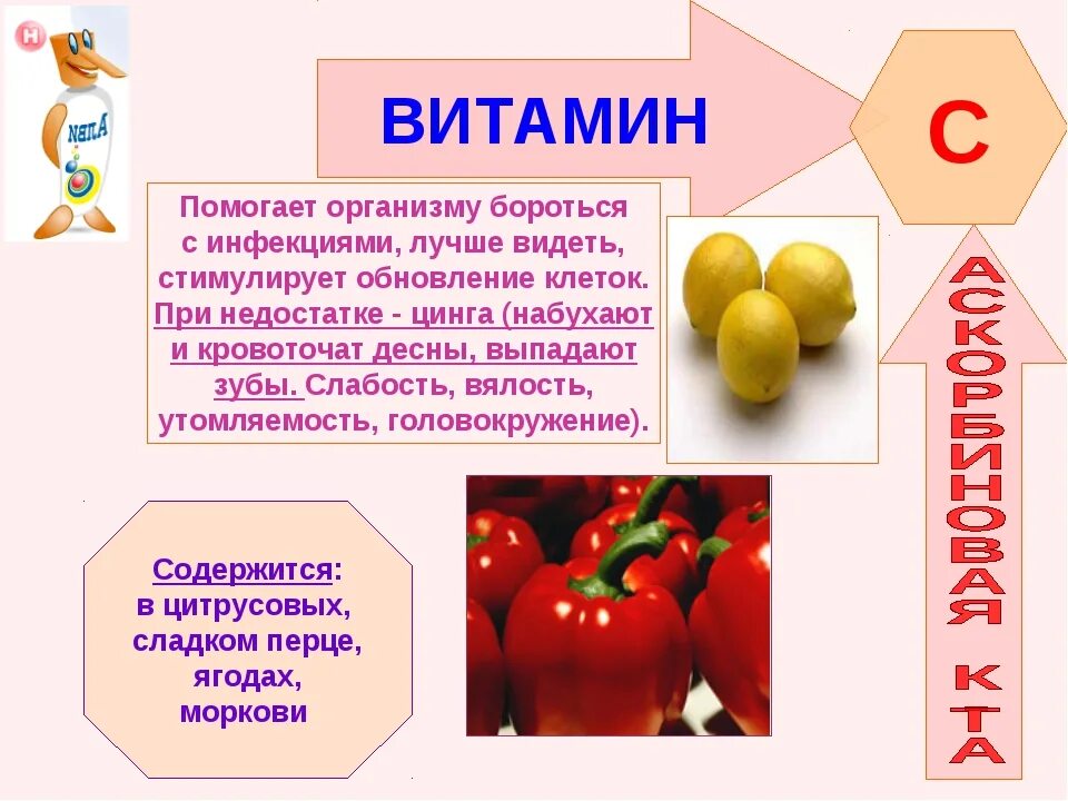 Основное значение витаминов. Витамины значение для организма. витамин c роль в организме. роль витаминов в организме. важность витаминов.