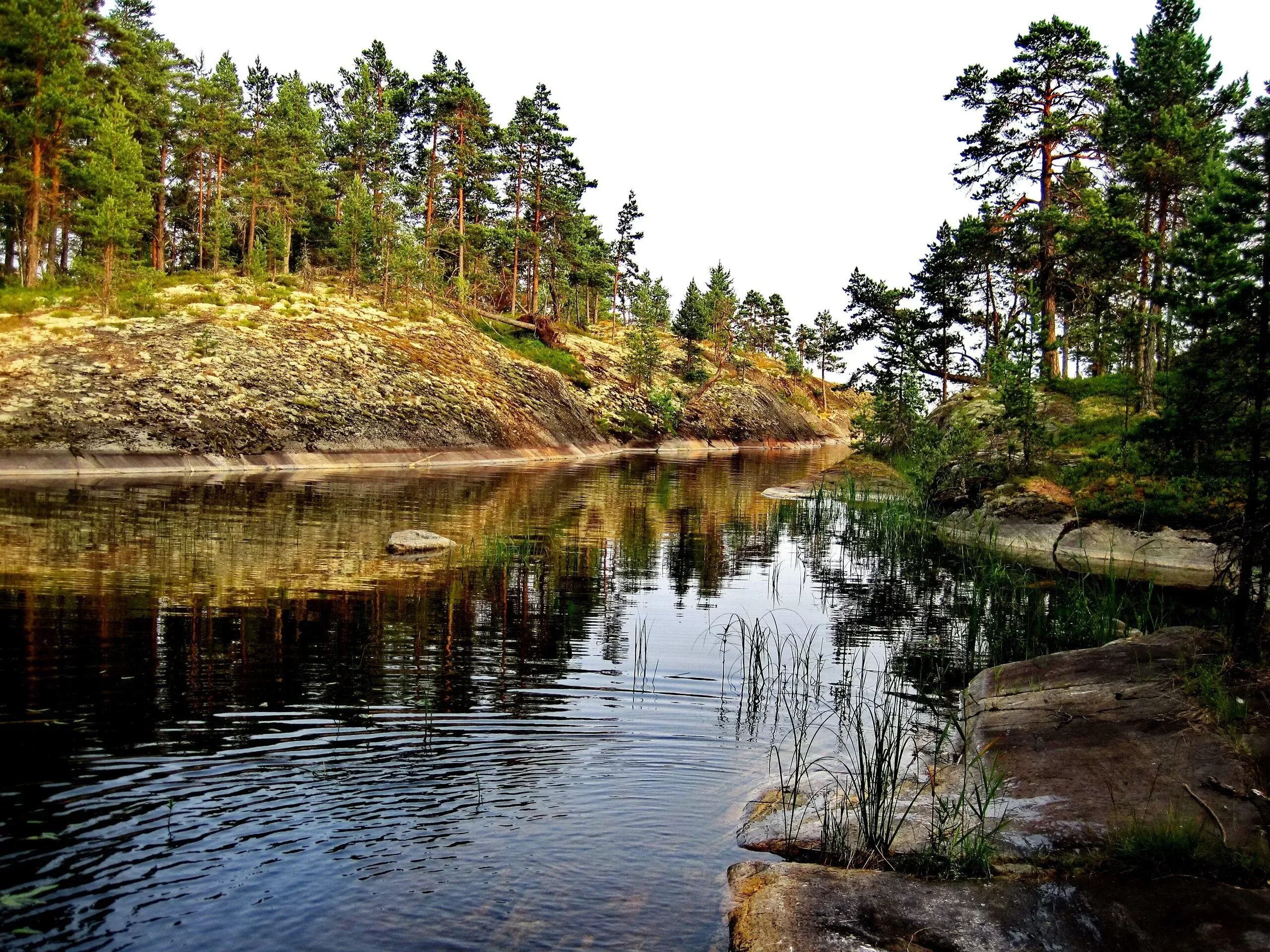 Karelia pro