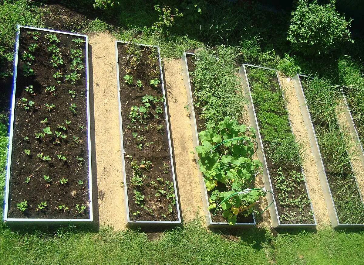 Бордюр для грядок. Ограда для грядок. Грядка оцинкованная 1х2м. Парник в огороде. Металлический каркас для грядок.