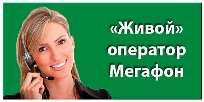 Оператор МЕГАФОН. Номер оператора МЕГАФОН. Позванитьоператору,МЕГАФОН. Номер МЕГАФОНА для связи с оператором. Телефон бесплатной службы мегафон