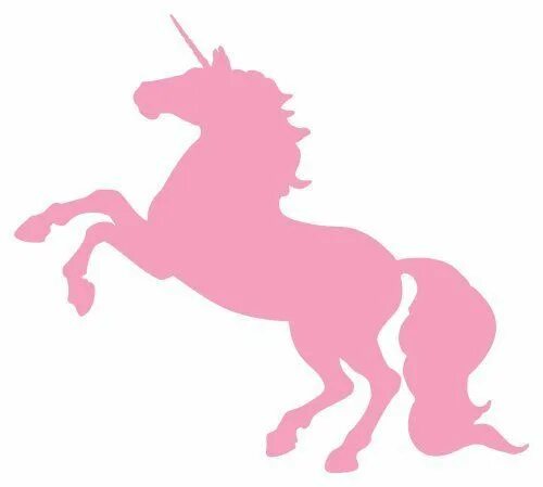 Unicorn name