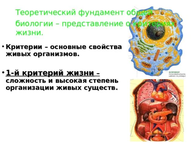 Что значит жизнь в биологии