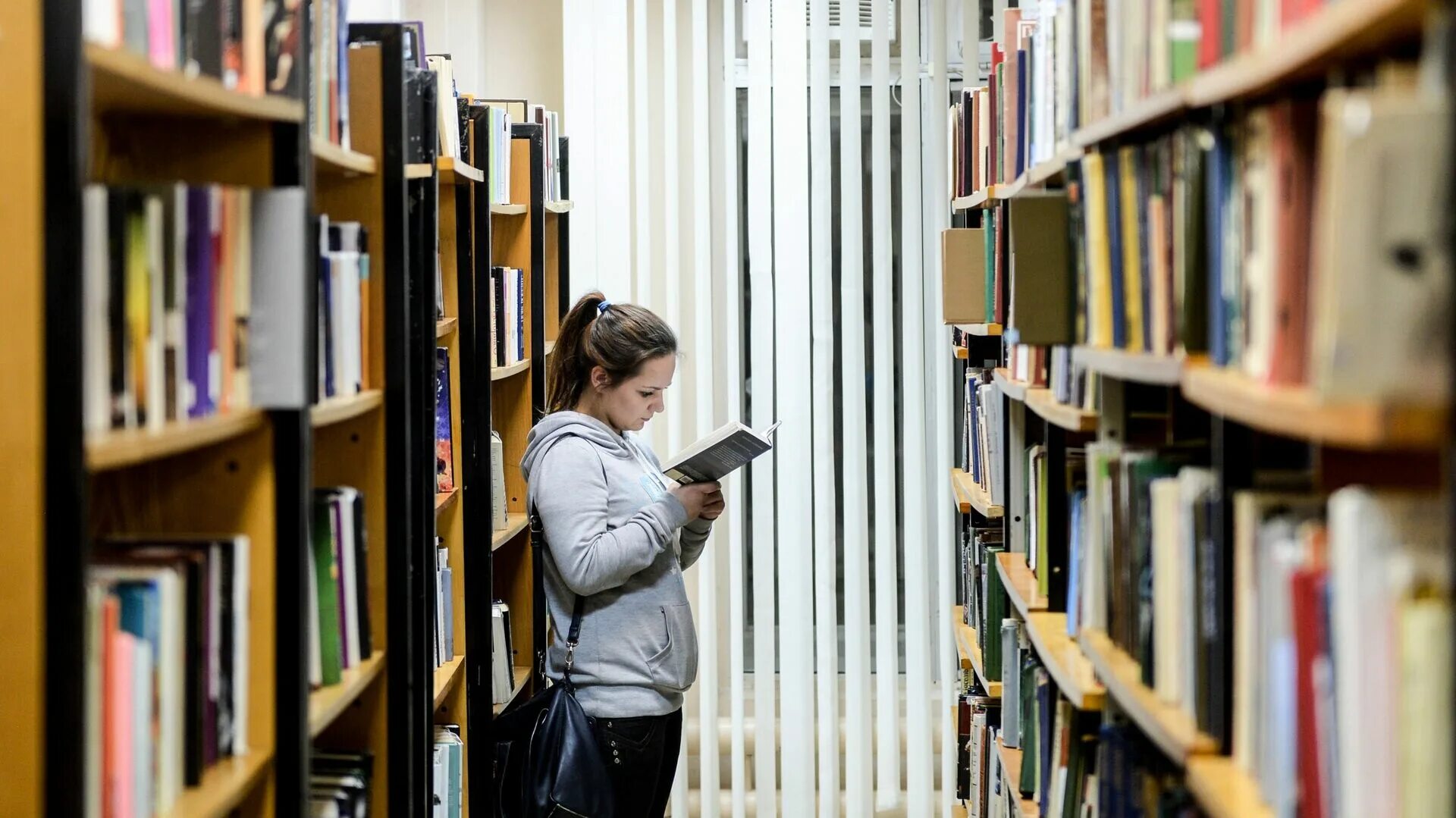 Читатели в библиотеке. Девушка в библиотеке.