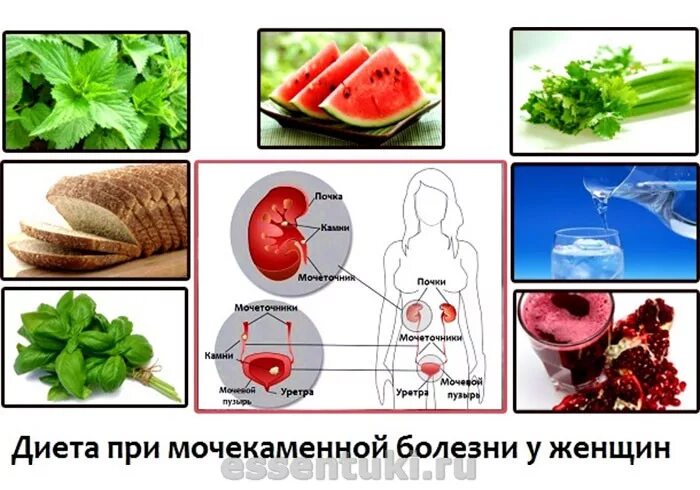 Продукты при заболевании почек. Диета при мочекаменной болезни почек. Диета примочексменной болезни. Диета при мочекаменной иболе. Диета при мочекаменной болезни у женщин.