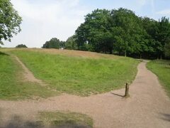 File:Convergence of paths on Hampstead Heath - geograph.org.uk - 1462062.jpg - Wikimedia Commons