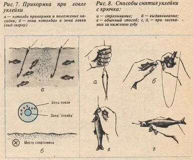 Ловля рыбы заменить на согласование