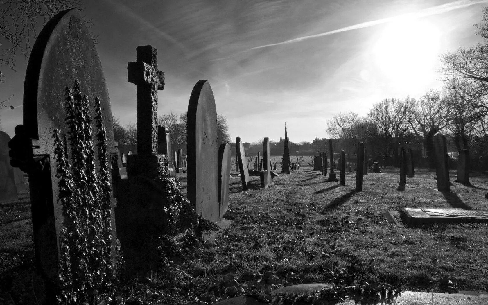 Черная краска graveyard. Camposanto USA кладбище. Красивое кладбище. Готическое кладбище. Готическая могила.