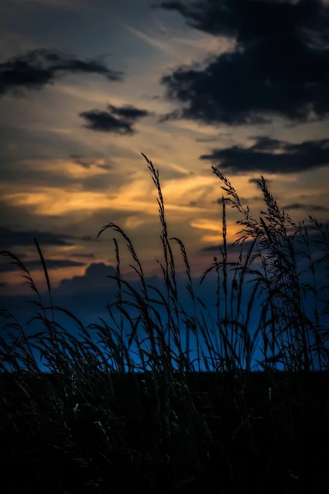 When evening comes
