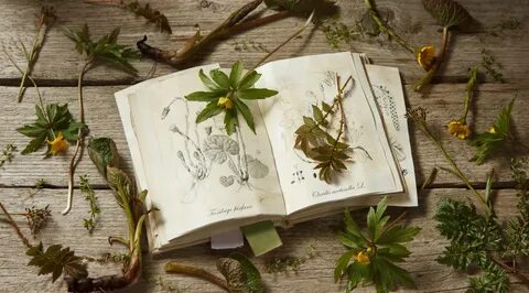 Botany