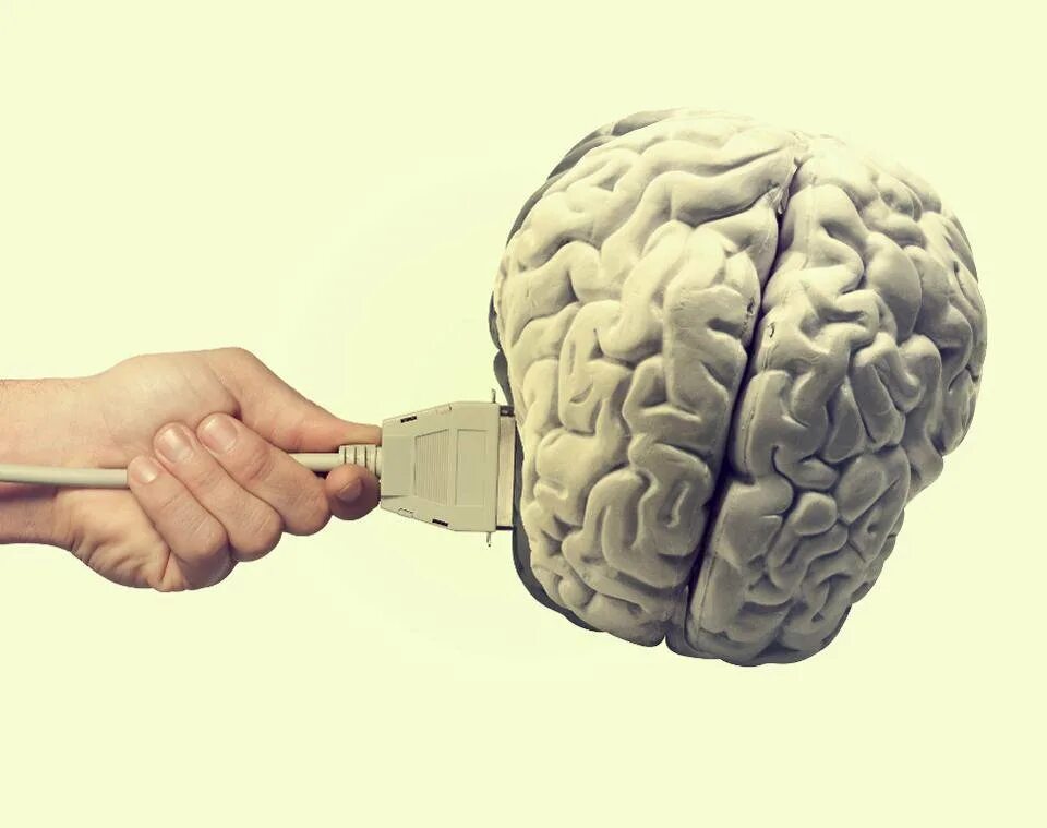 Мозг человека как улучшить работу. Мозг и интернет. Человеческий мозг и компьютер. Изолированный мозг. Активация мозга.