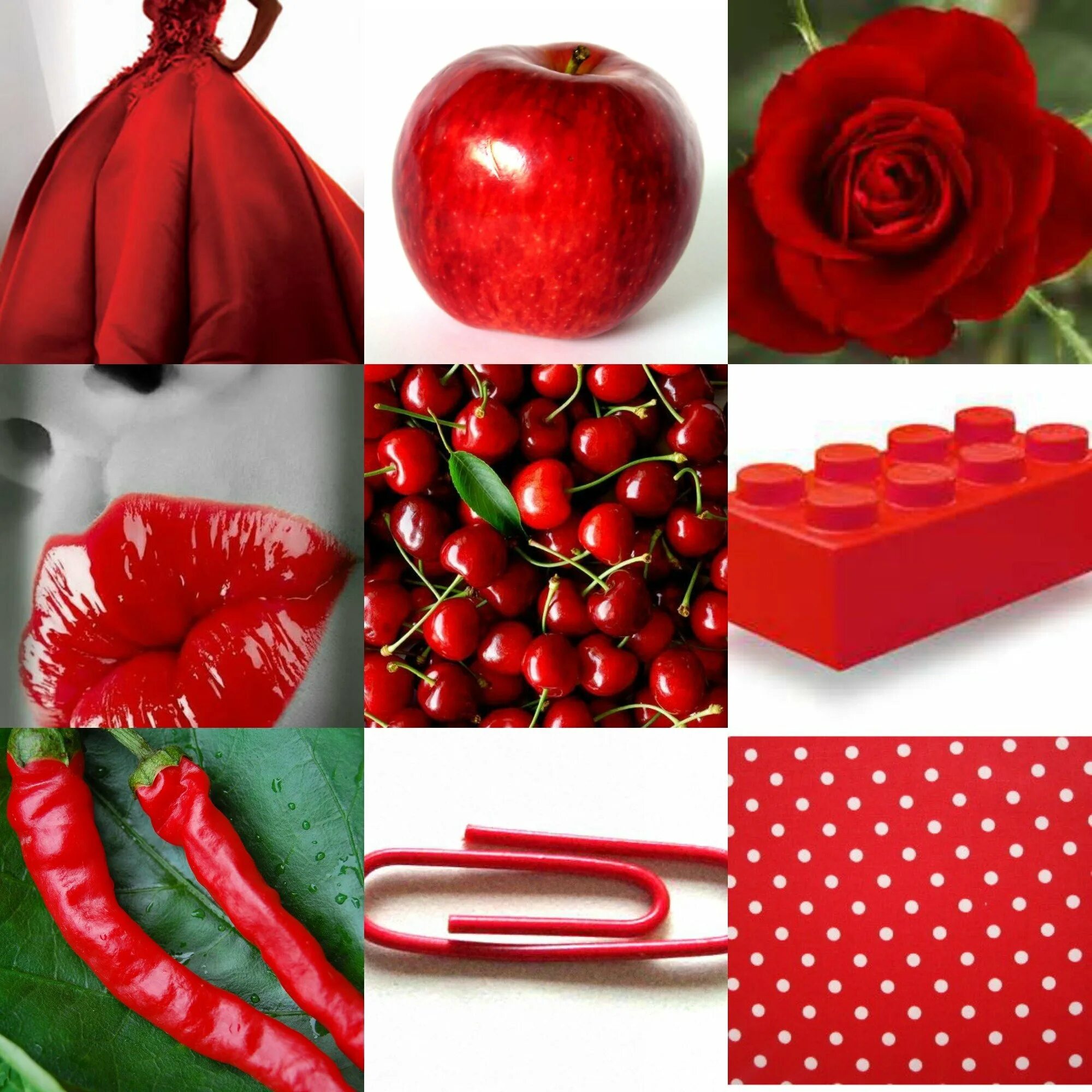 Виргинский кардинал. Красный древолаз лягушка. Баттерфляй блэк. Красная тема. Жук божья коровка.