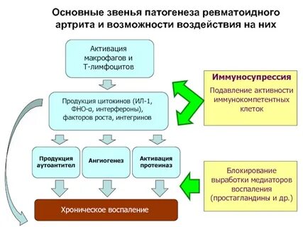 Этиология ревматоидного артрита