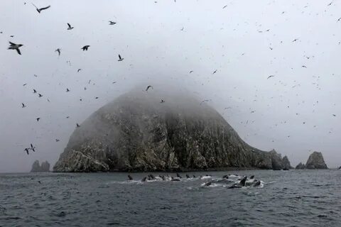 Шантарское море