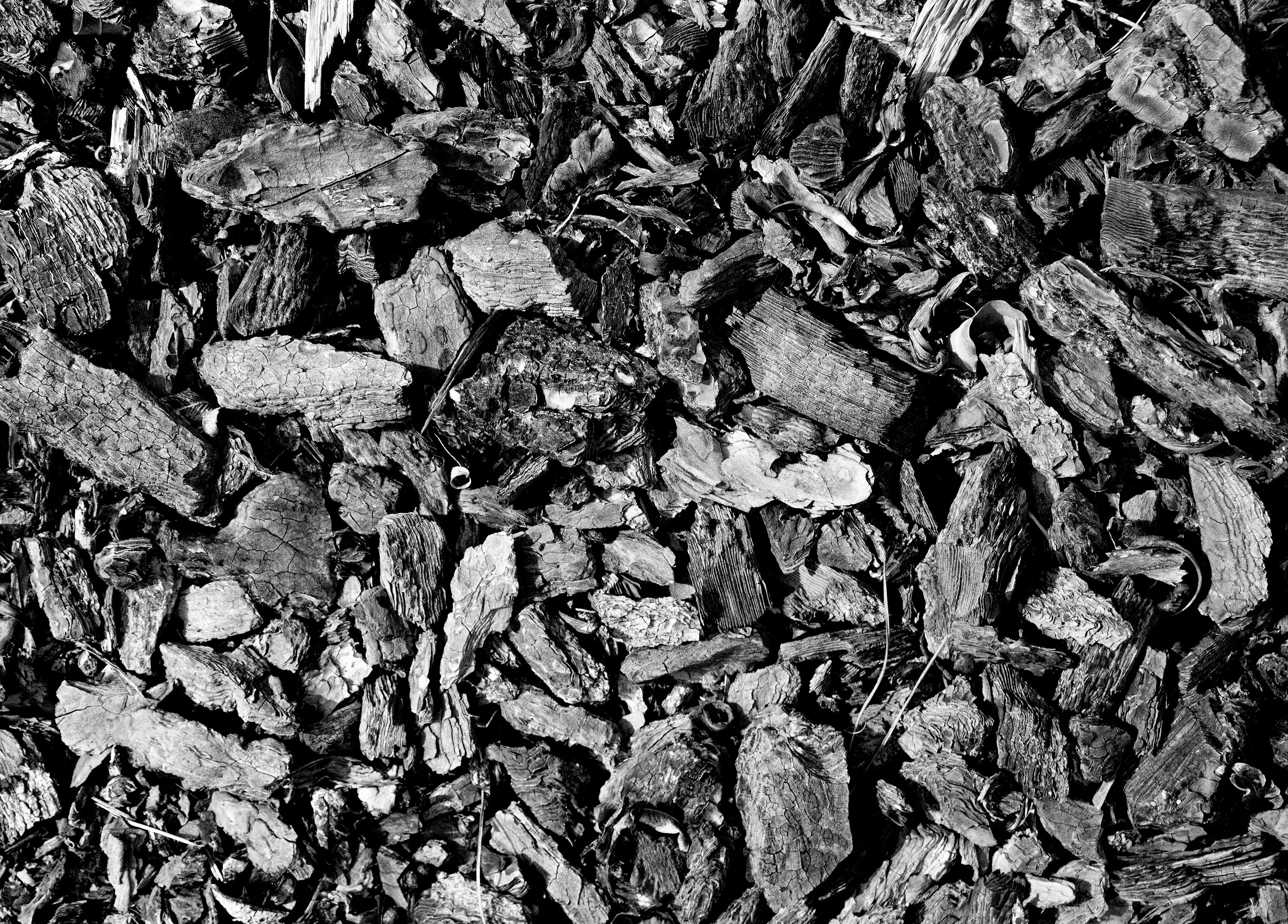 Текстура угля. Древесный уголь текстура. Каменный уголь текстура. Фактура угля. Каменный уголь дерево