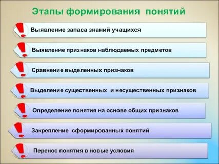 Этапы процесса определения видов
